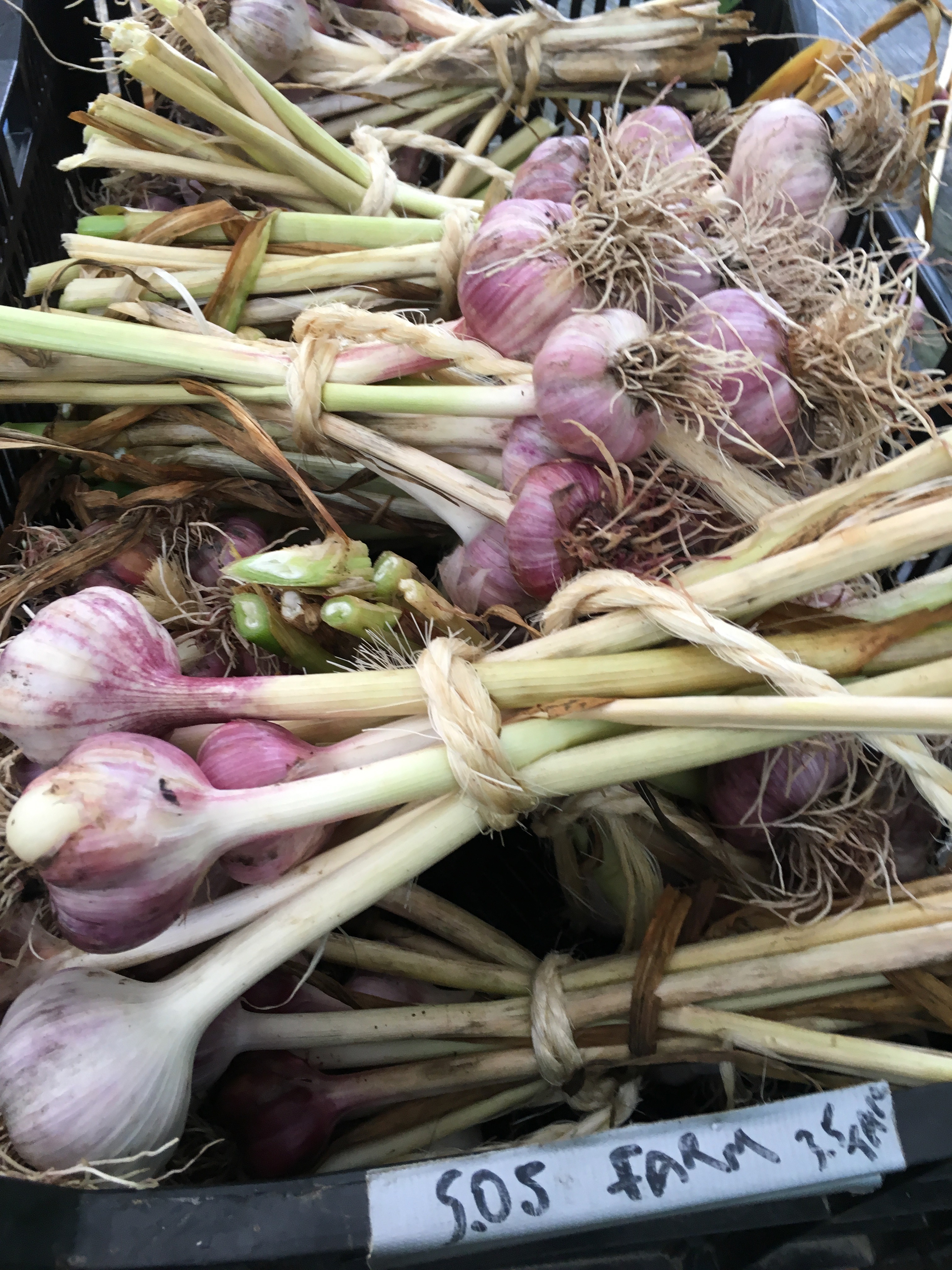 A pile of garlic